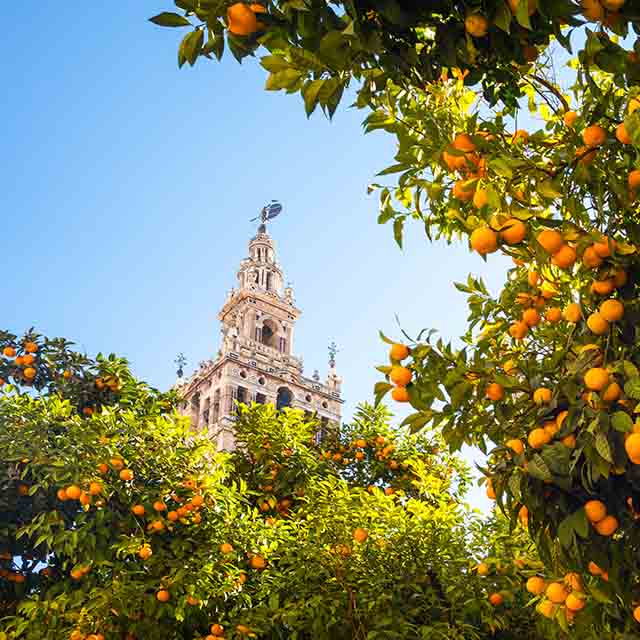 sevilla-ronda malaga